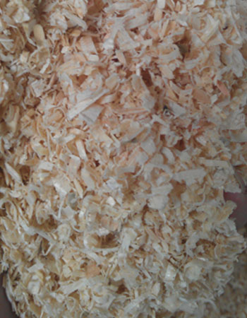 wood shavings: raw material for making wood pellets