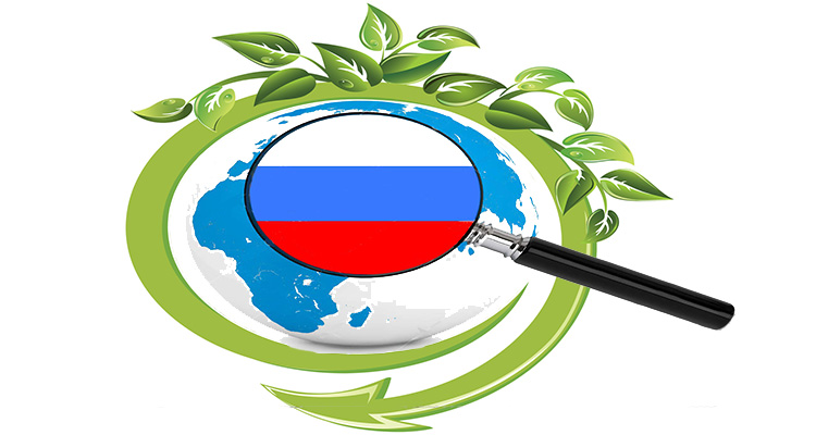 Russia biomass energy analysis