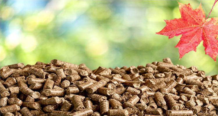 a picture of wood pellets in Canada