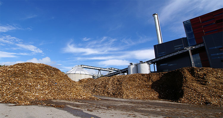 agriculture waste to make wood pellet