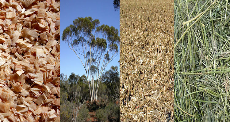 raw materials for Australian wood pellet plants