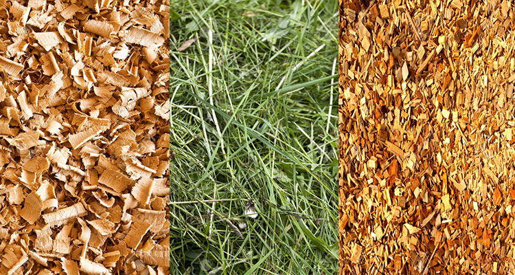 raw materials for wood pellet