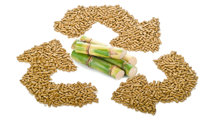 biomass pellets make from sugarcane bagasse