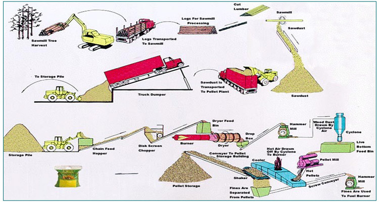 Wood Processing Flow Chart