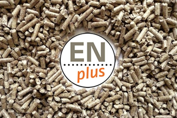 a picture of enplus certification