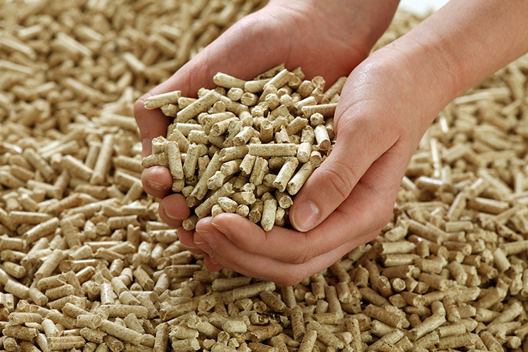 a picture of high quality wood pellets