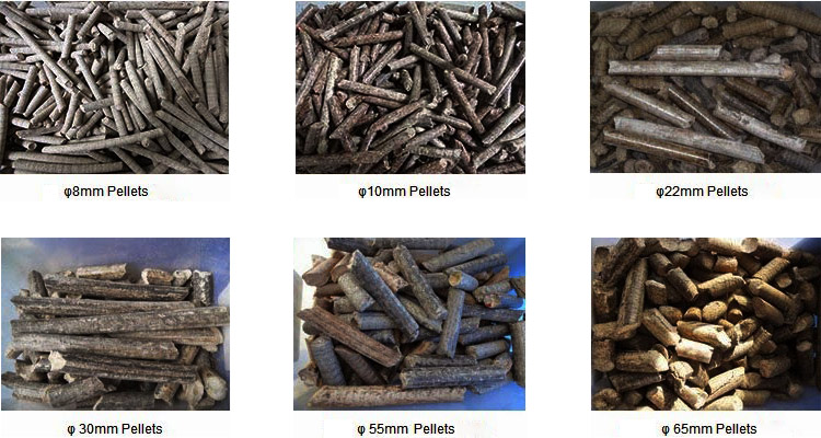 a picture of wood pellets with different diameters