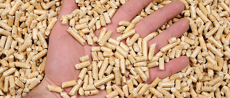 A picture of woody biomass pellet