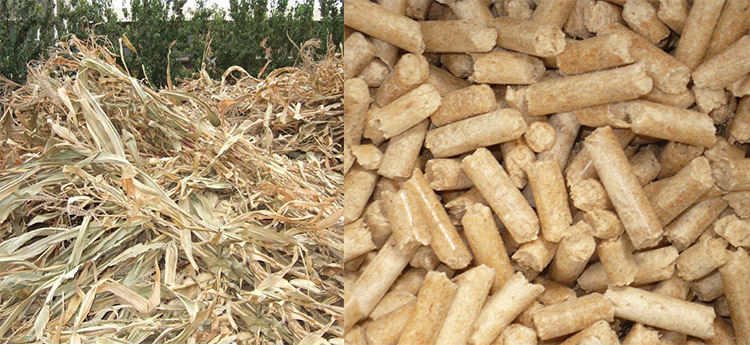 the biomass pellet made from corn stalk