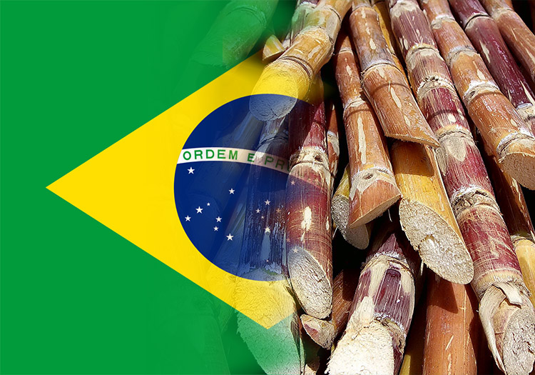 Top sugarcane country of origin