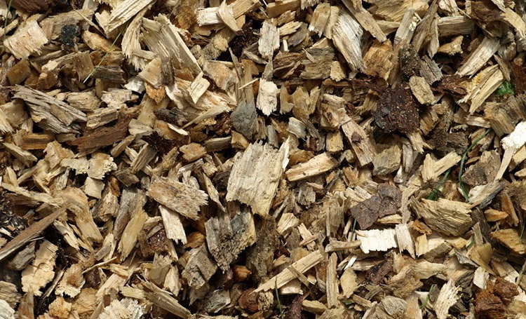 a picture of the unexpected wood chip size