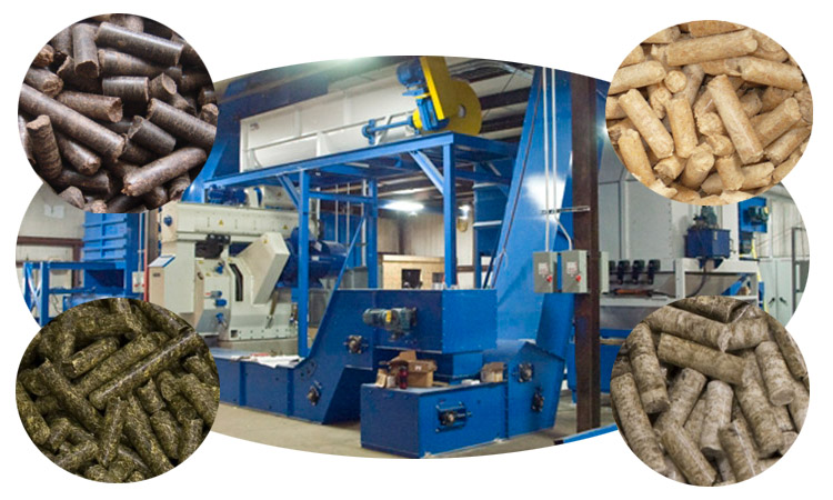 a picture of biomass pelletizing plant