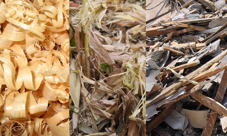 a picture of biomass materials