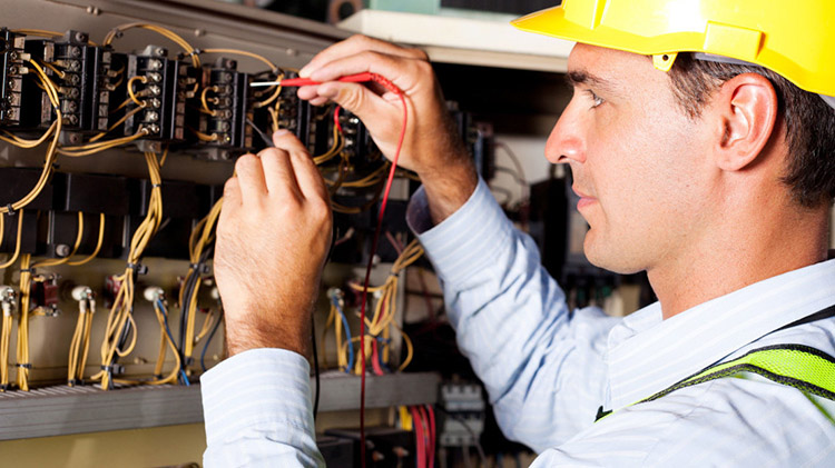 a picture of the electrician of wood pellet plant