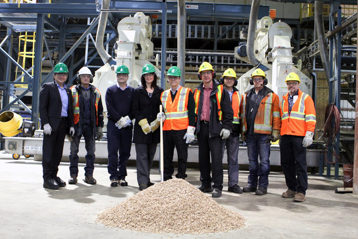 workers in wood pellet plant