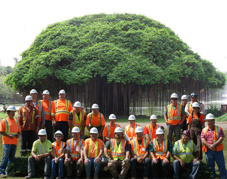 a picture of the staffs in a wood pellet plant