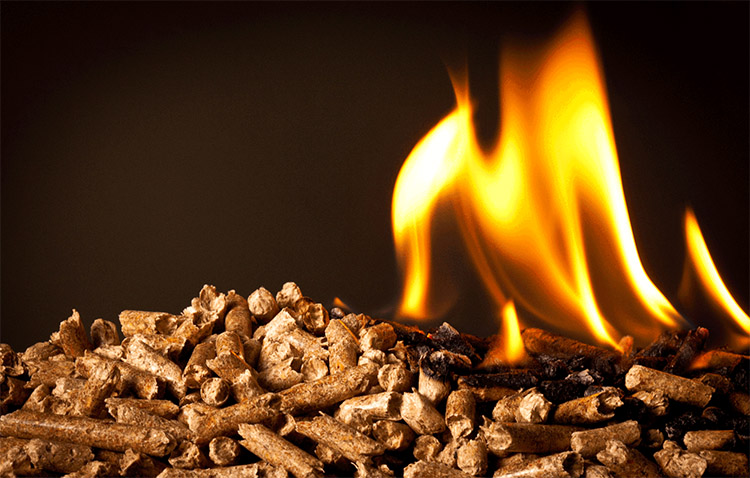 a picture of burning biomass pellets