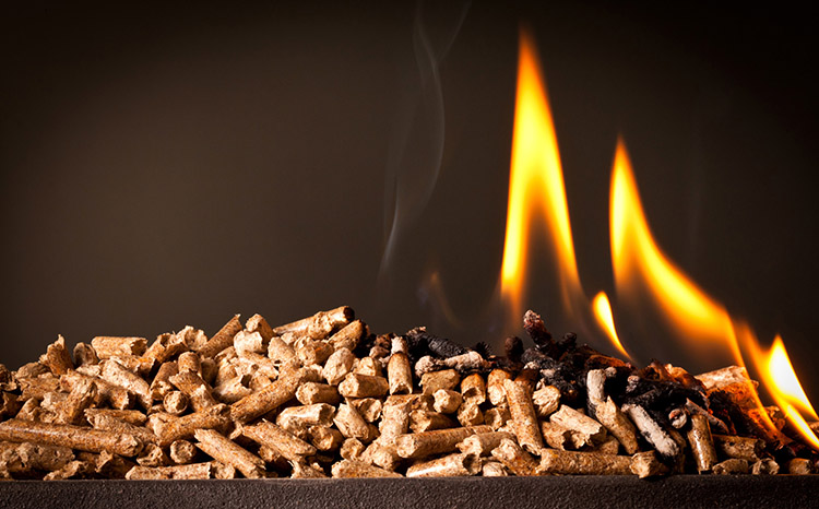 a picture of burning biomass pellet