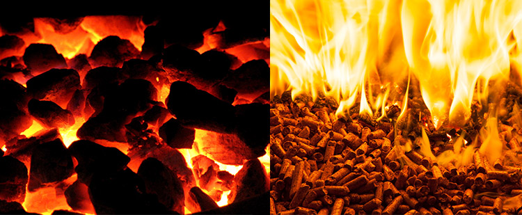 a picture of wood pellet and coal combustion