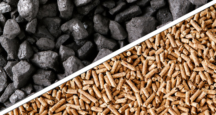 a picture of biomass pellets and coal