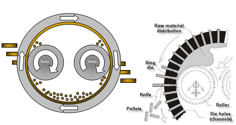 the working principle of pellet mill ring die