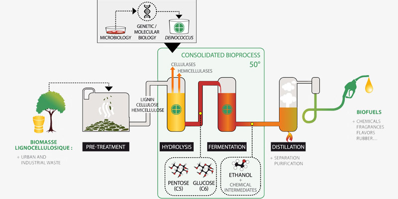 a picture of bioethanol extraction process