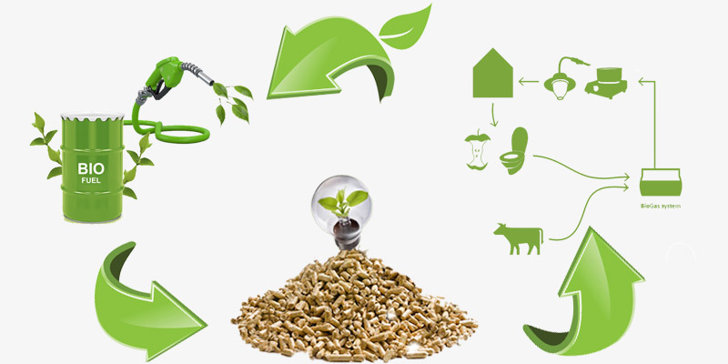 different types of biomass fuels