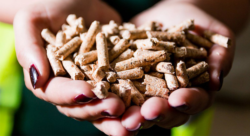 a clear picture of biomass pellets