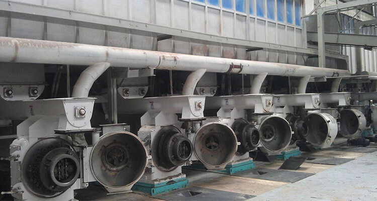 large pellet machines in pellet plant