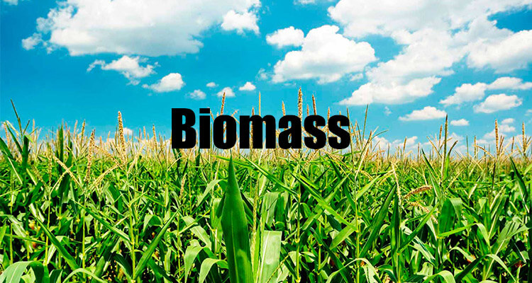 a picture of biomass sources