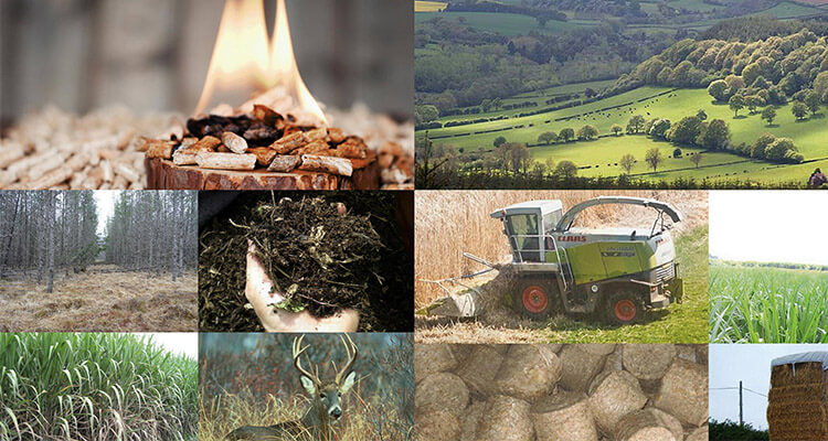 chins resource superiority of developing biomass energy